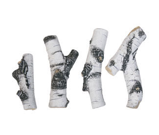 Grand Canyon Quaking Aspen Twig Set