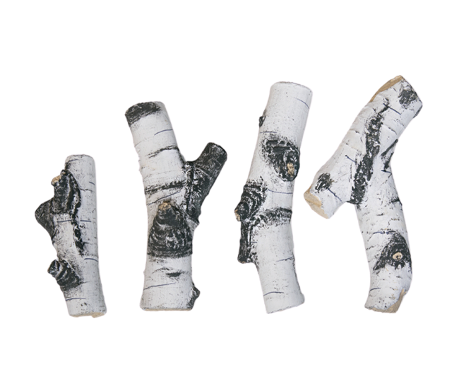 Grand Canyon Quaking Aspen Twig Set