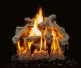 Grand Canyon Western Driftwood Gas Log Set